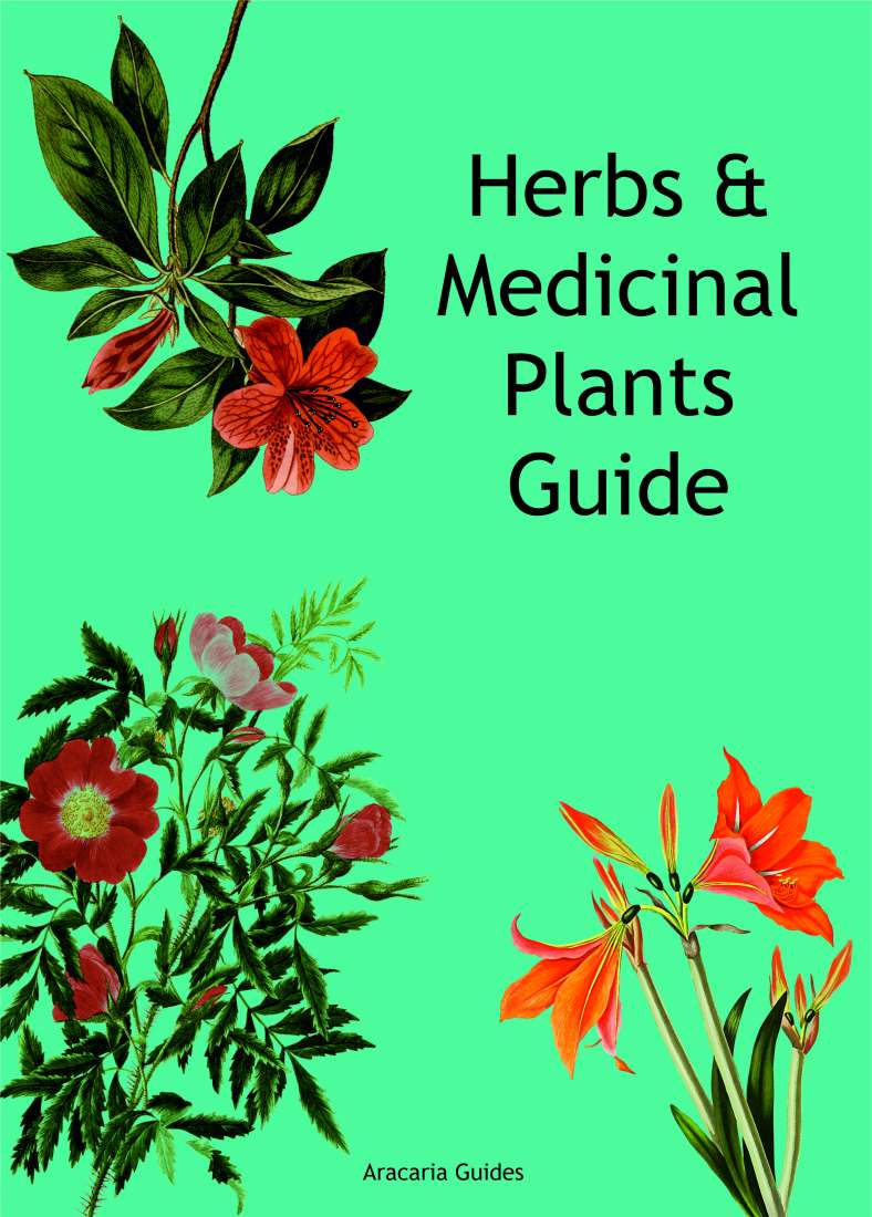 Herb & Medicinal Plants Growing Guide