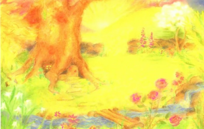 Large Postcard - Garden of Wonders