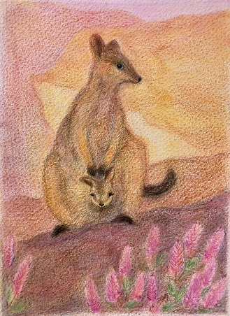 Rock Wallaby postcard - spring Seasonal postcard range #7