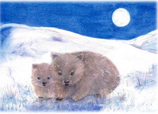 Wombats postcard - winter Seasonal Postcards Range #5