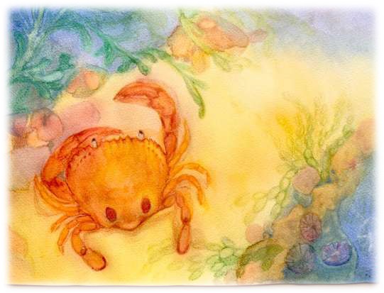 Sand crab postcard - Summer Seasonal Postcard range #8