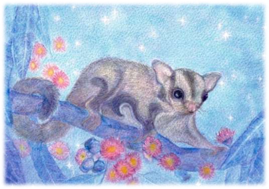 Sugar Gliders postcard - winter Seasonal postcard range #4
