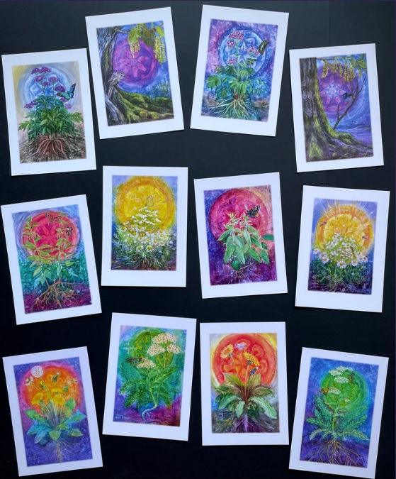 Biodynamic Plants Cards Set