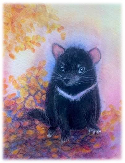 Tasmanian Devil Postcard - autumn Seasonal Postcard Range #10