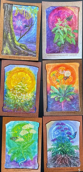 A4 Posters of Biodynamic Plants Set of 6 Nos 5, 7, 8, 9, 10, 11