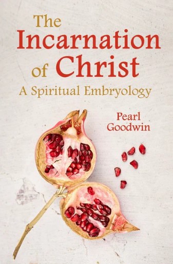 Image for The Incarnation of Christ A Spiritual Embryology The Incarnation of Christ A Spiritual Embryology
