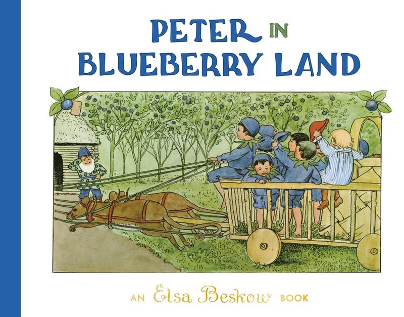 Image for Peter in Blueberry Land 2/e Peter in Blueberry Land 2/e